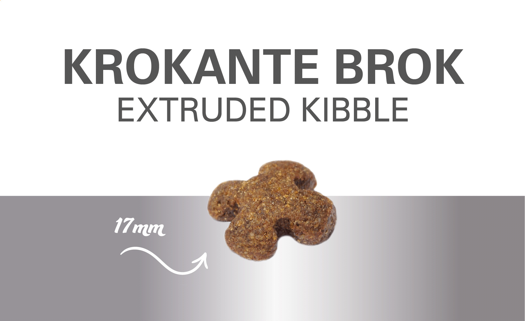 פיט סלקשן - סלמון ואורז – תמונה 2