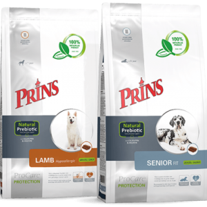 מזון יבש לכלבים