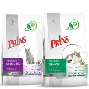 מזון יבש לחתולים