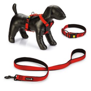 רצועות רתמות וקולרים